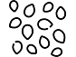 Semínka