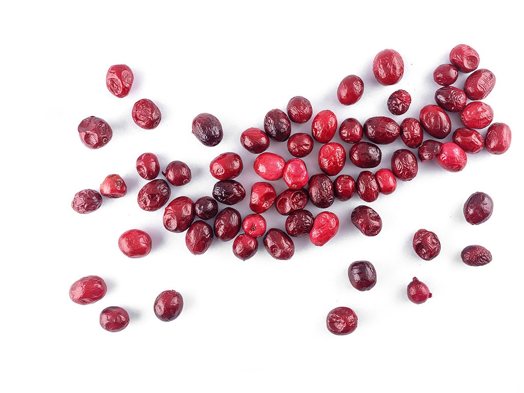 Kľukva lyofilizovaná váha 100g