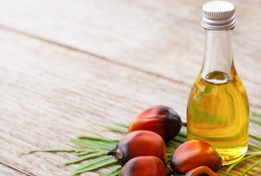 Palmový olej pod lupou: hrozba pro zdraví, nebo zbytečný strašák?