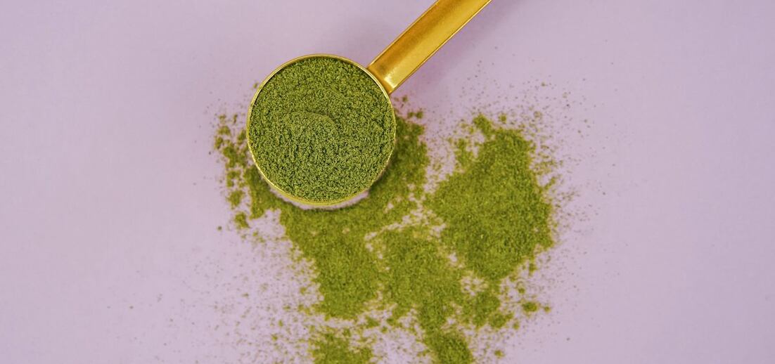 Moringa: zázračný prášok zo stromu života