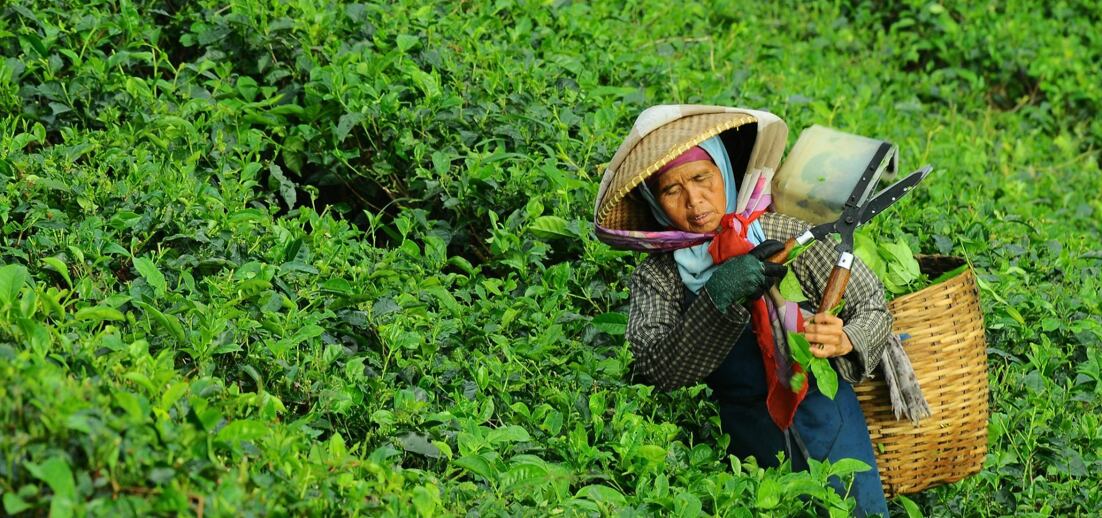 Fairtrade