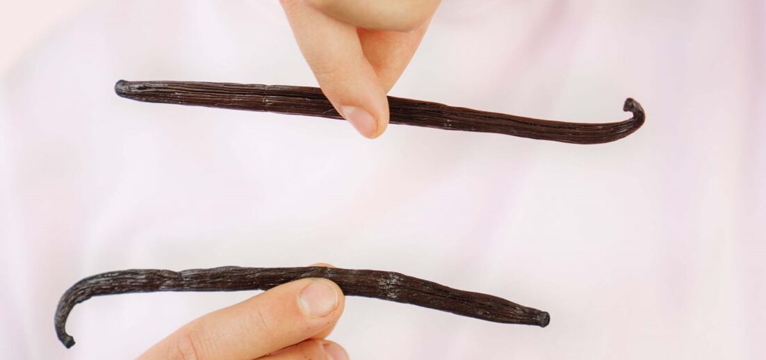 10 zajímavostí o vanilce