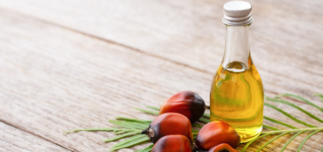 Palmový olej pod lupou: hrozba pro zdraví, nebo zbytečný strašák?