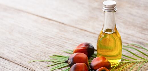 Palmový olej pod lupou: hrozba pro zdraví, nebo zbytečný strašák?