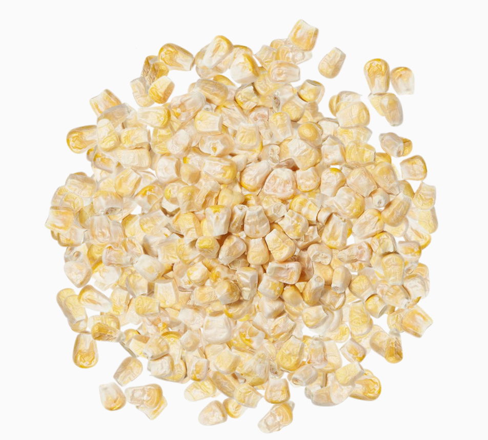 Kukurica sladká lyofilizovaná