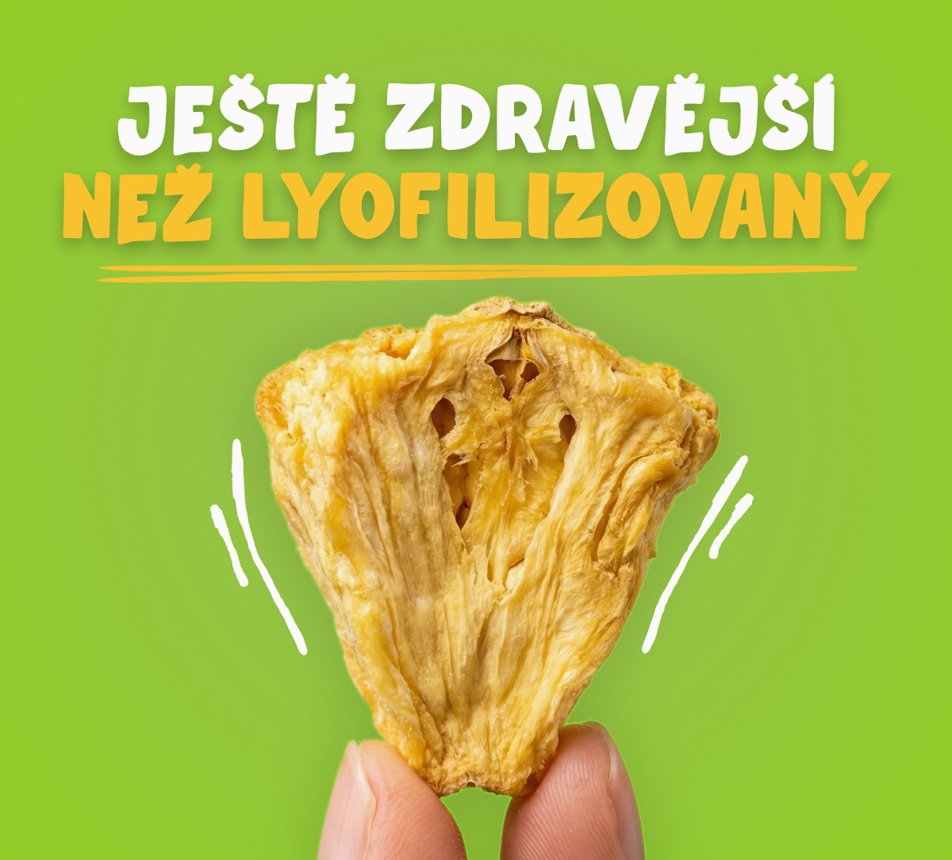 100% Ananas křupky