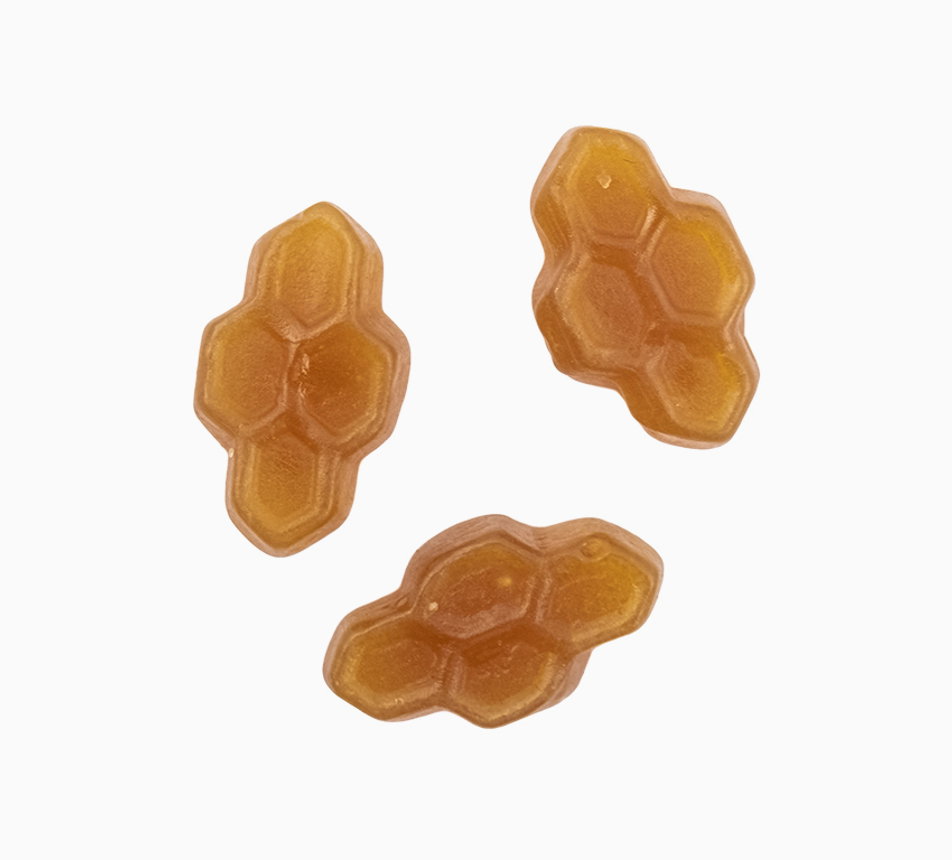 Lékořice medové plástve