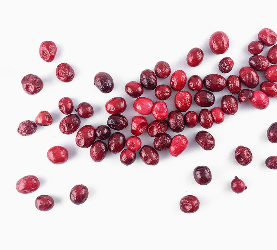 Mrazem sušená klikva