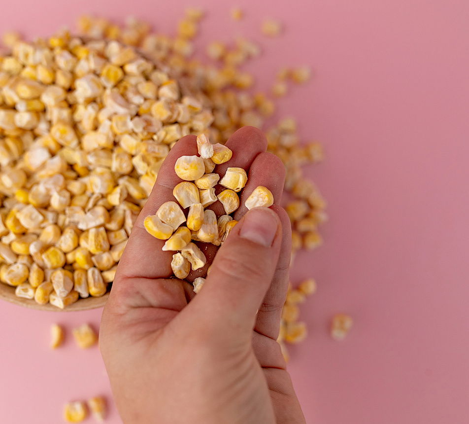 Kukuřice sladká lyofilizovaná