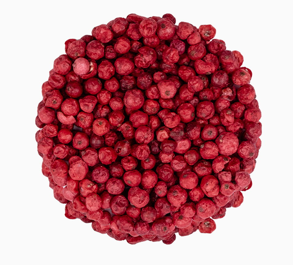 Červený rybíz lyofilizovaný