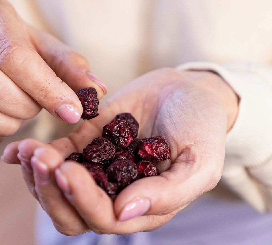 Mrazem sušené višně